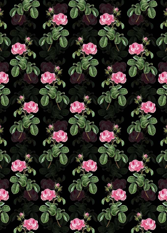 Provence Rose Pattern