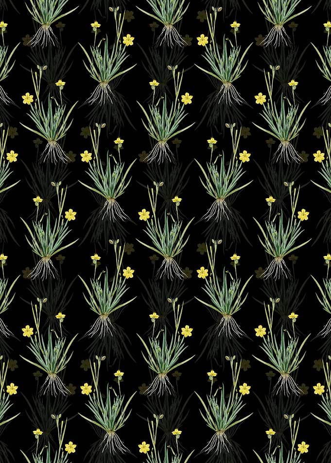 Yellow Eyed Grass Pattern
