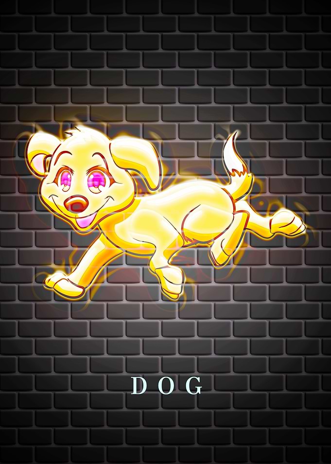 DOG Animal