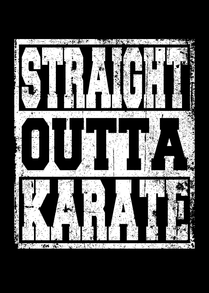 Karate Saying funny