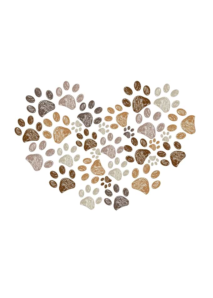 Made of heart brown paw
