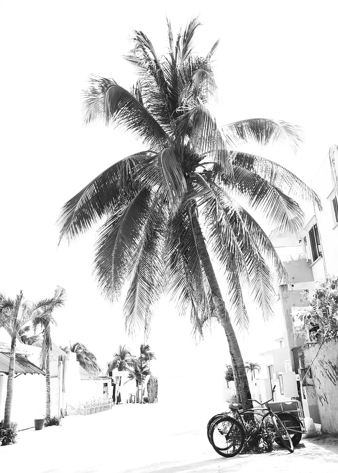 Caribbean Street Vibes 2