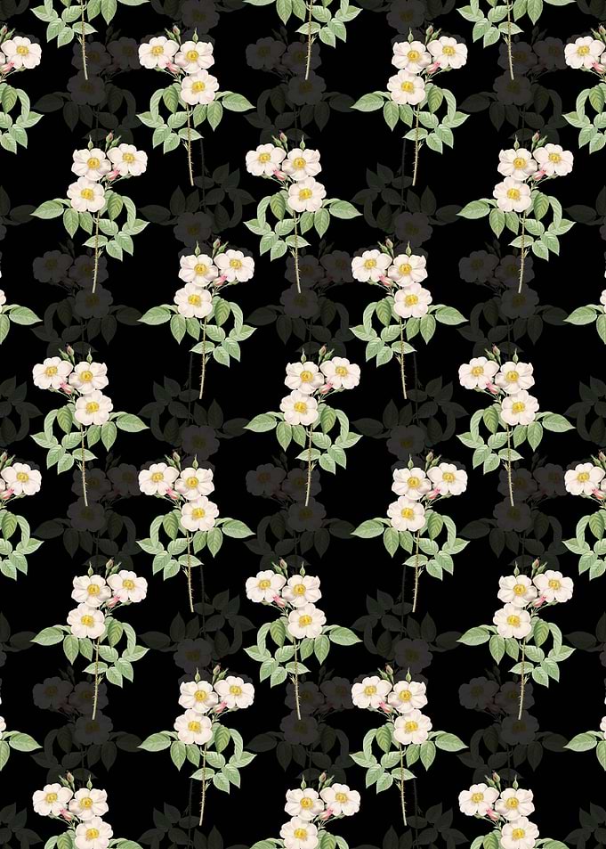 Rose of Castile Pattern