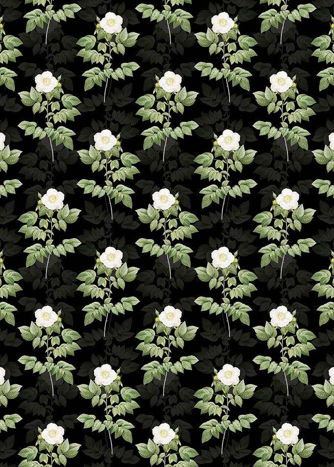 Leschenaults Rose Pattern