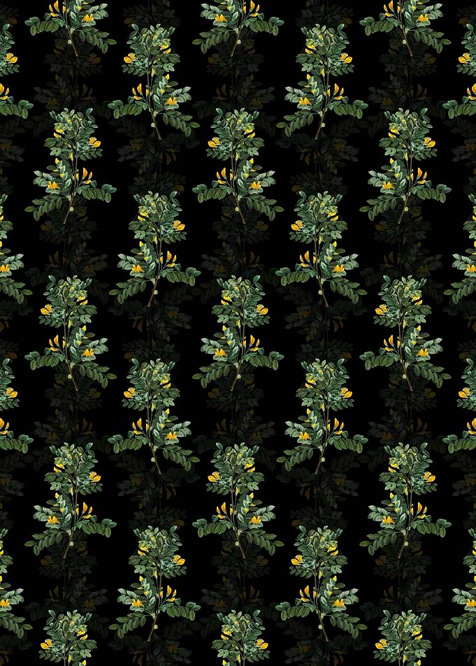 Siberian Pea Tree Pattern