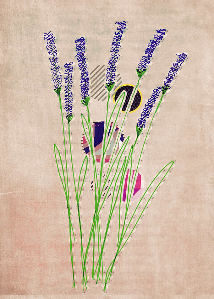 drawing flower