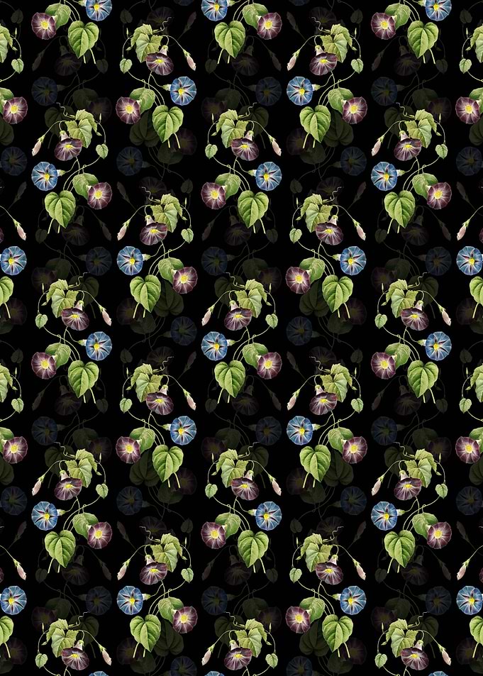 Morning Glory Pattern