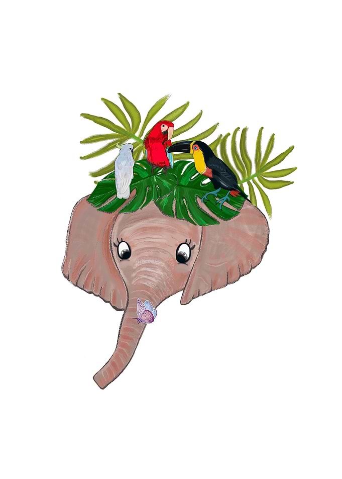 Elephant with birds