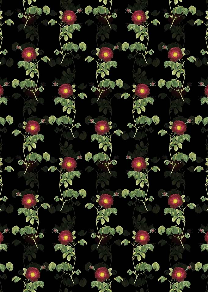 Black Floral Rose Pattern