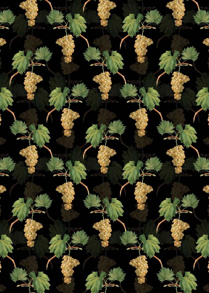 Floral Grape Vine Pattern