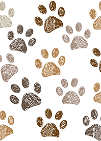 Brown doodle paw prints