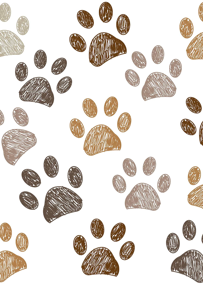 Brown doodle paw prints