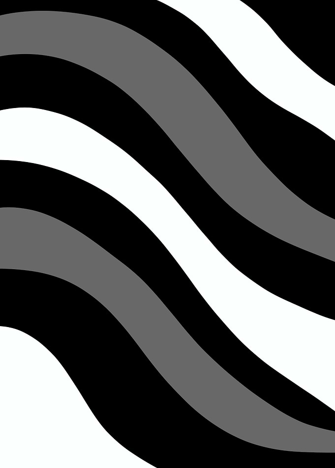 Black White Retro Summer 2