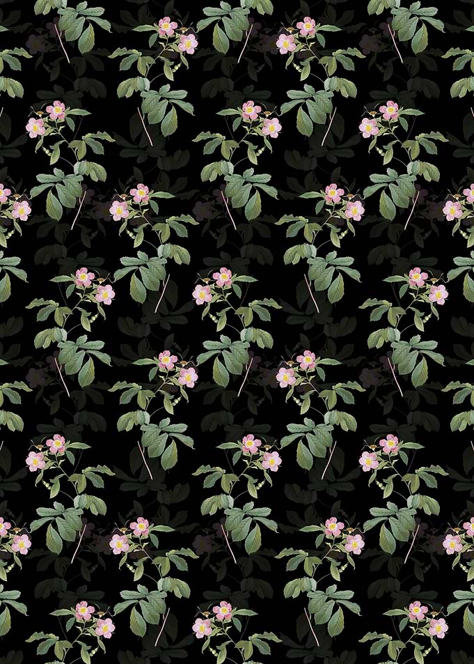 Pink Alpine Roses Pattern