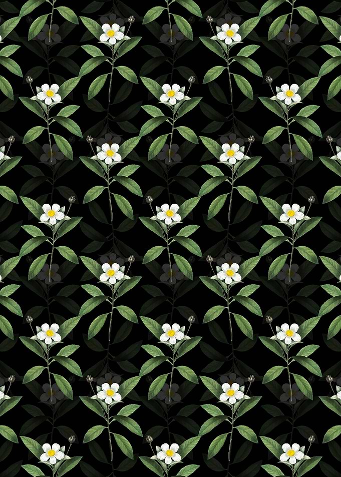 Black Loblolly Bay Pattern