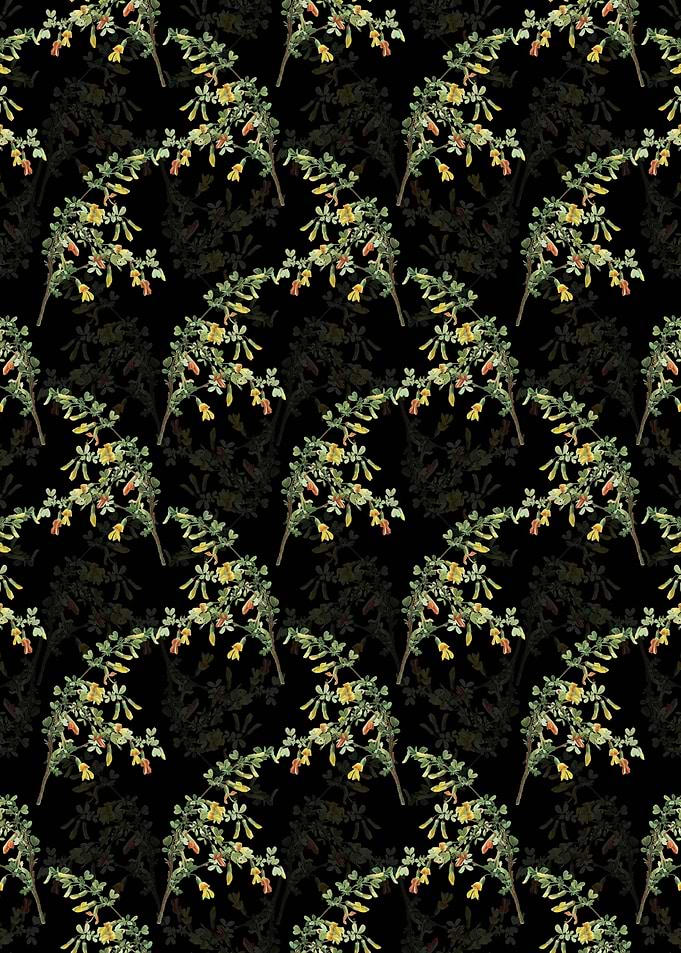 Caragana Sinica Pattern
