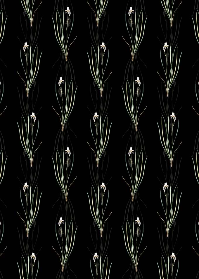 Siberian Iris Pattern