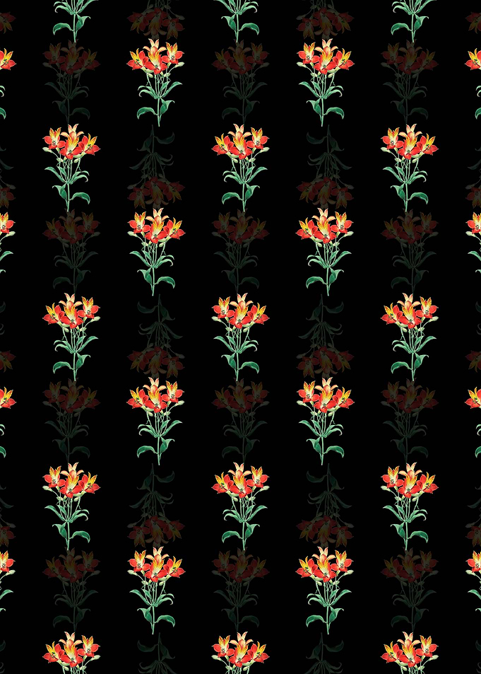 Red Speckled Alstromeria