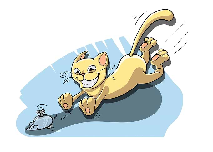 Cute Cat with Sunny