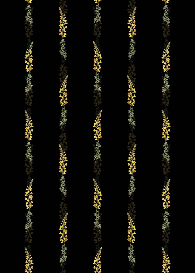 Floral Adenocarpus Pattern
