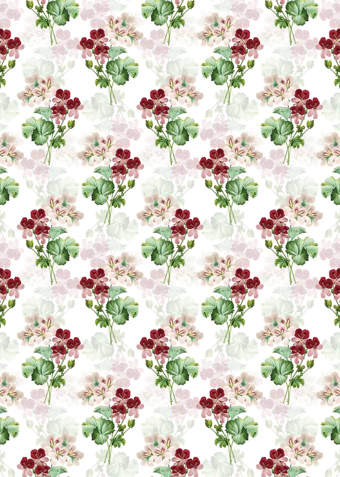 White Cranes Bill Geranium