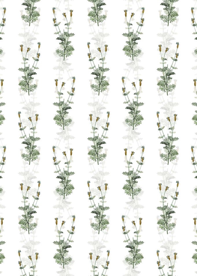 Spanish Lavender Pattern