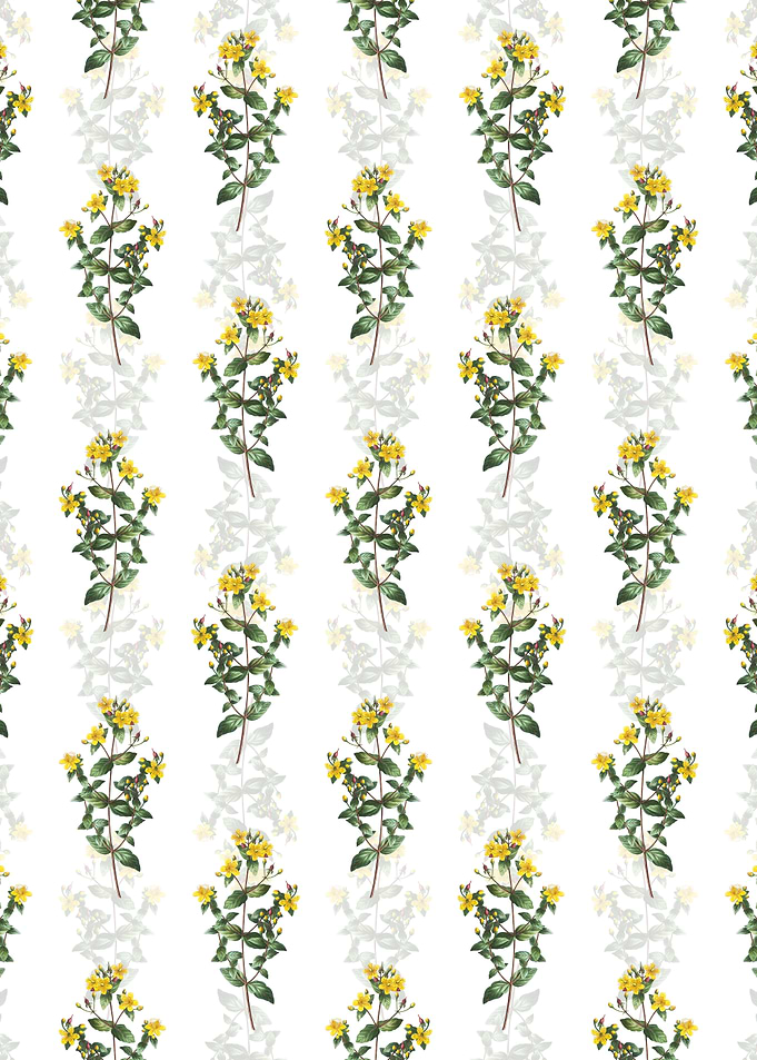 Stinking Tutsan Pattern