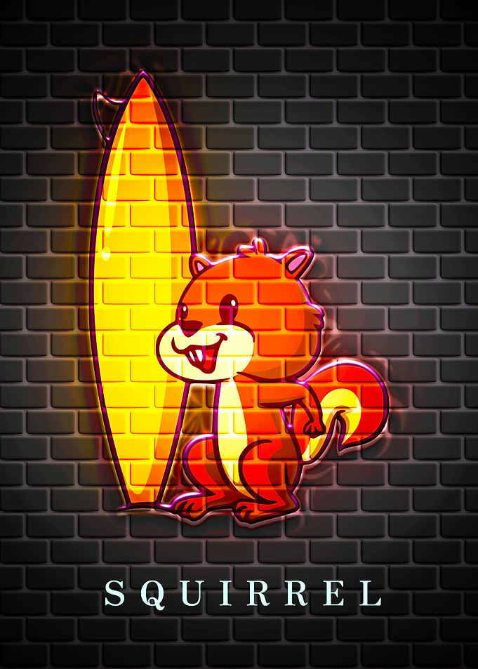 SQUIRREL Animal