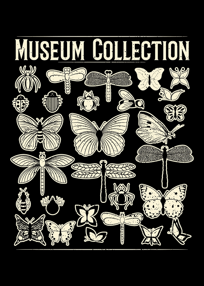 Museum Collection