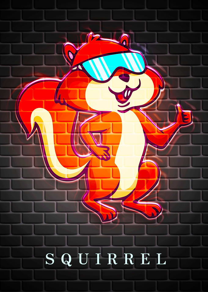 SQUIRREL Animal