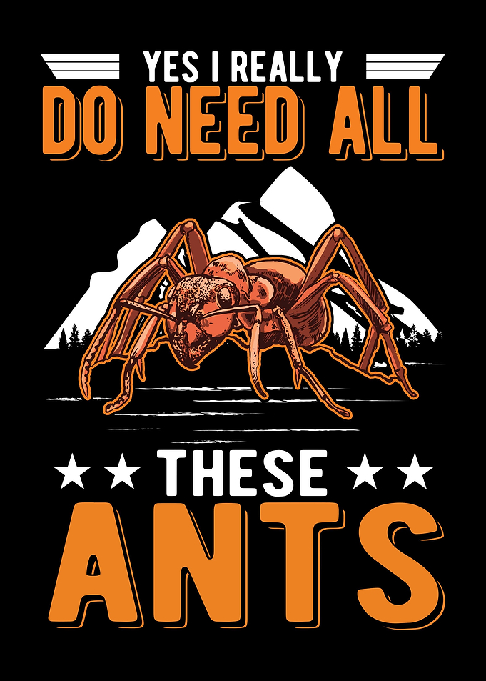 Ant Farm Ant Keeper