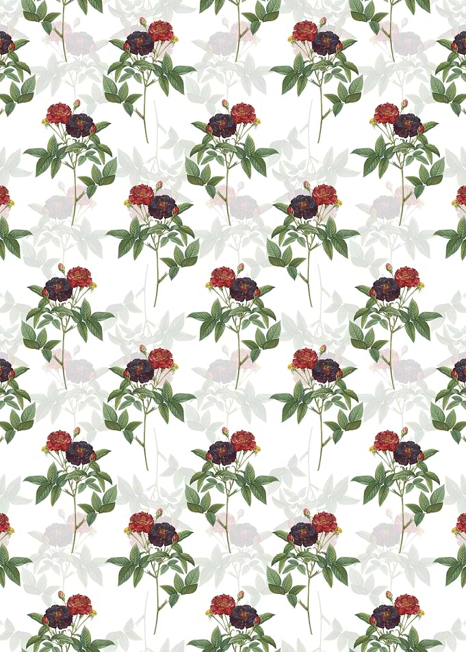 Van Eeden Rose Pattern