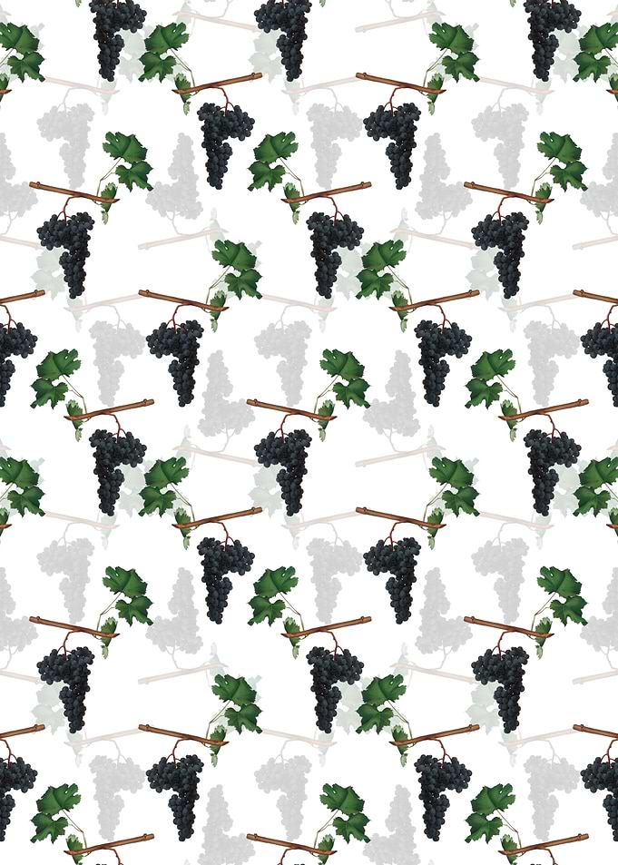 Dolcetto Grapes Pattern