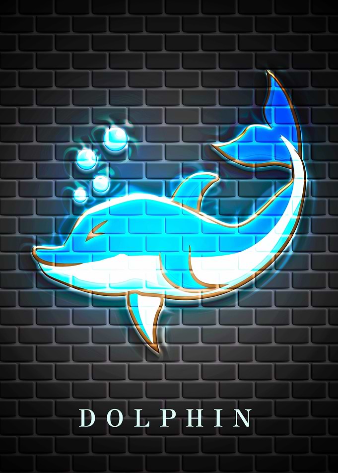 DOLPHIN Animal