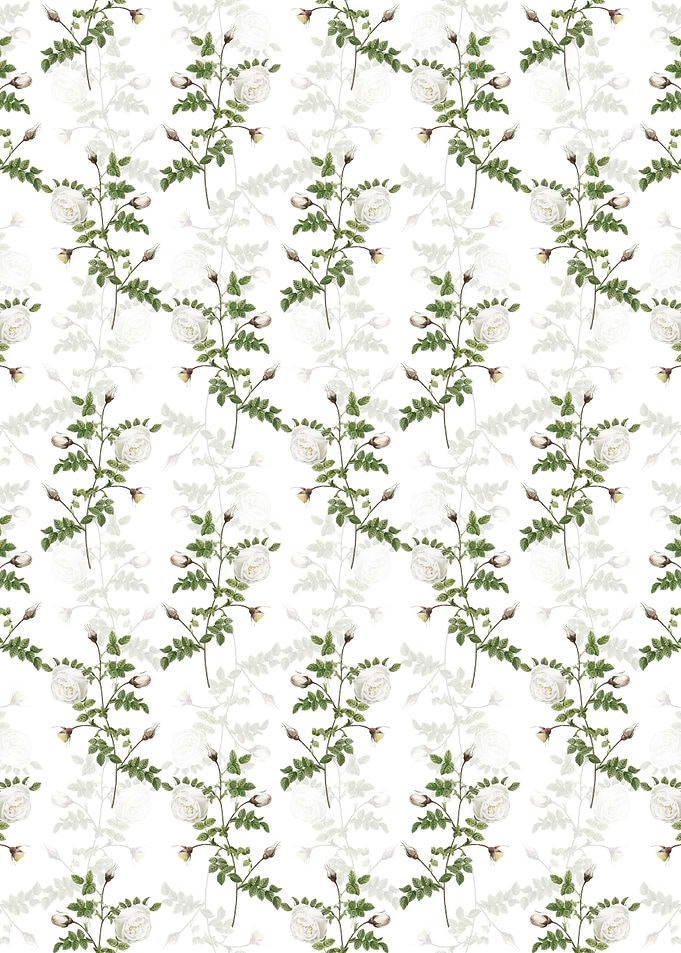 Silver Hispid Rose Pattern
