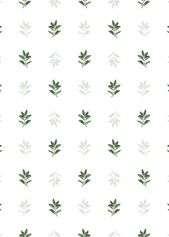 White Buxus Colchica Twig