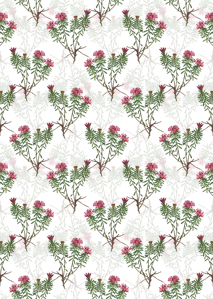 Floral Garland Pattern