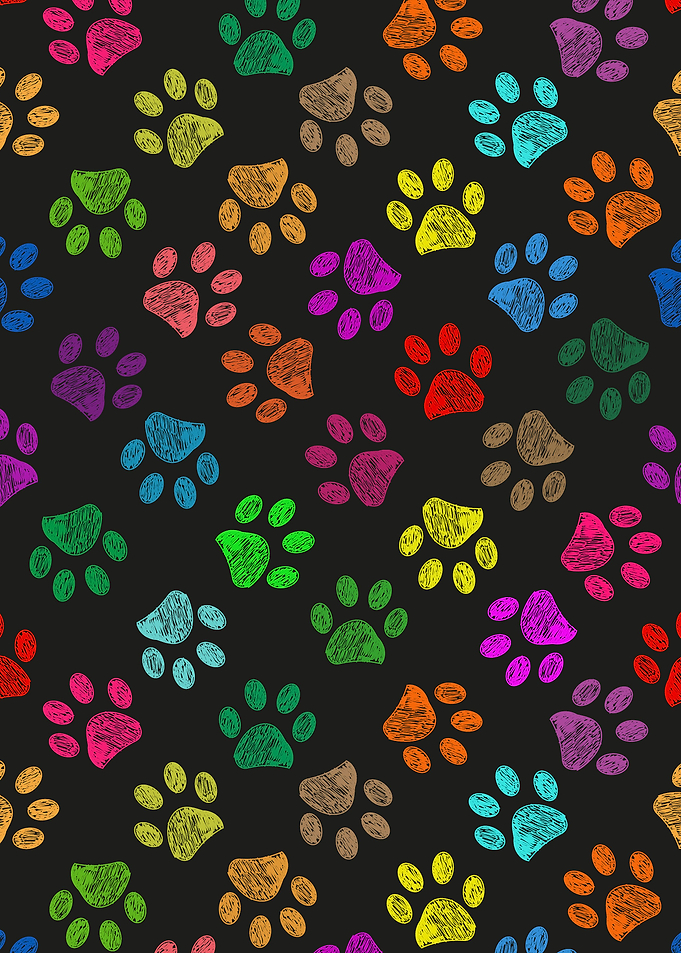 Colorful paw print