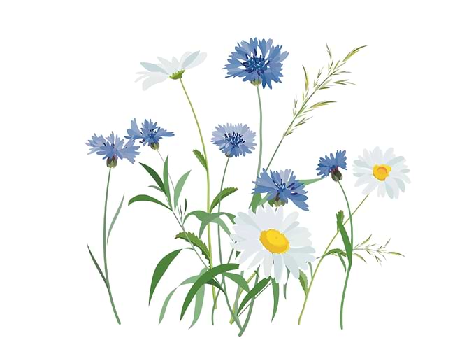 Simple minimalistic flower