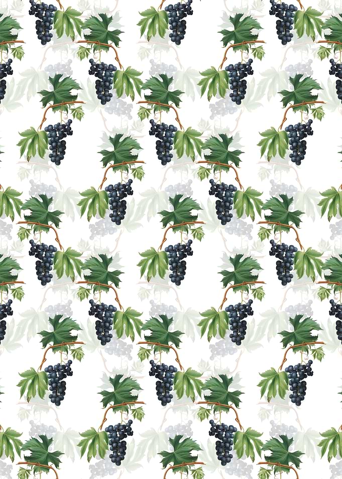 Brachetto Grape Pattern