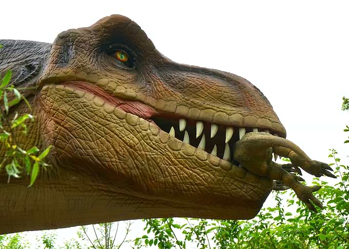 Dinosaur carnivore