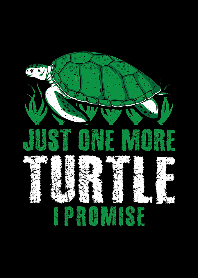 Sea Turtle