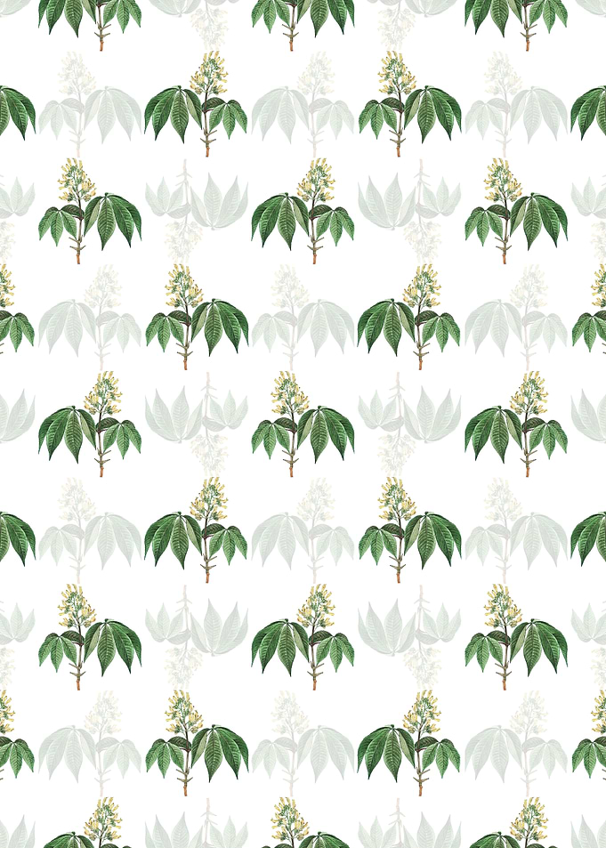 Yellow Buckeye Pattern