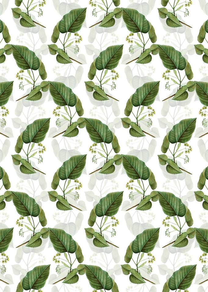 Linden Tree Branch Pattern