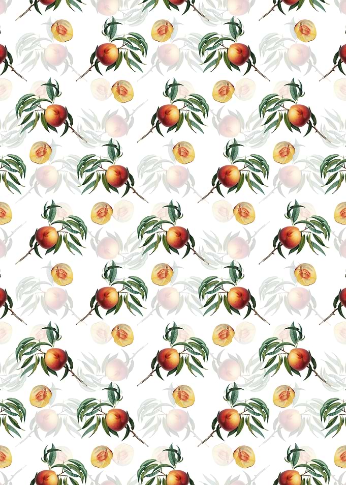 White Floral Peach Pattern