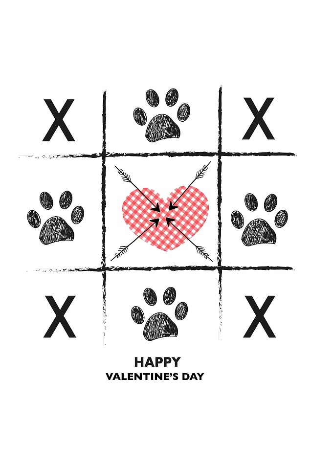 Tic tac toe game with paws