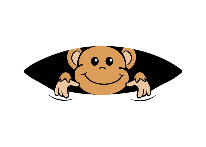 Baby monkey Pregnancy