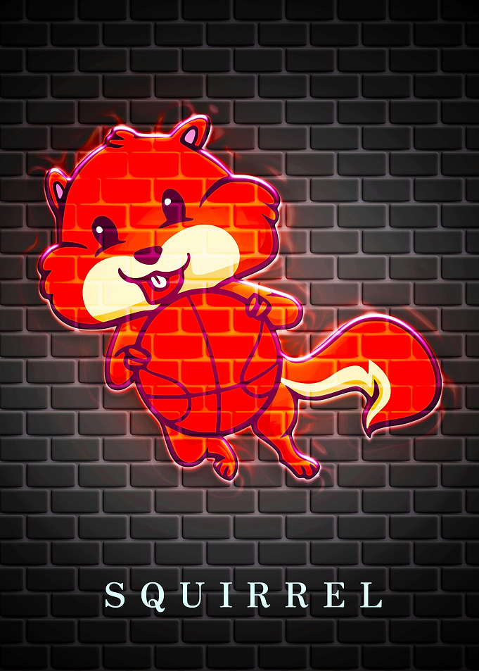SQUIRREL Animal