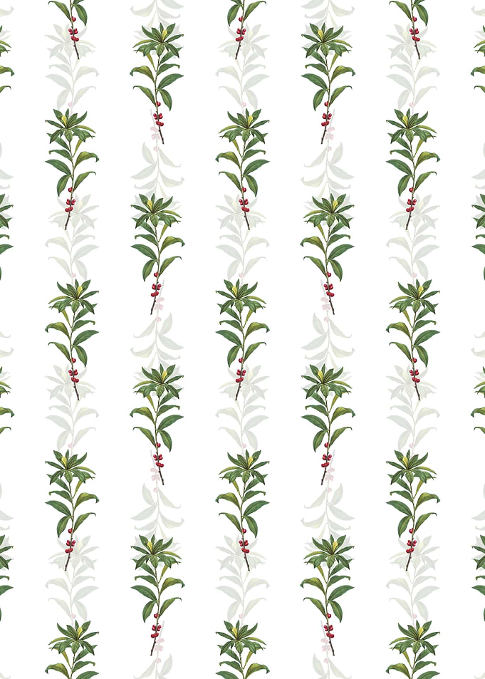 February Daphne Pattern