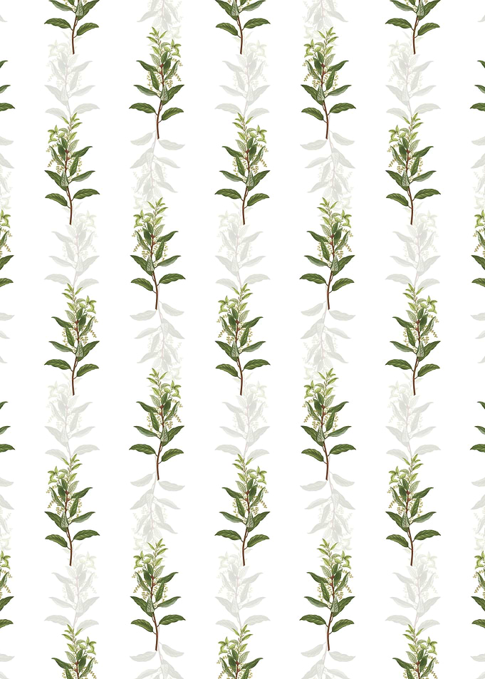 Evergreen Oak Pattern